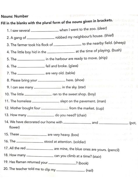 Noun number Nouns Grade 3 Worksheets, Noun Numbers Worksheet, Noun Worksheet For 5th Grade, Nouns Worksheet Grade 3, Gender Worksheet, English Teacher Lesson Plans, Gender Words, Proper Nouns Worksheet, Speaking Activities English