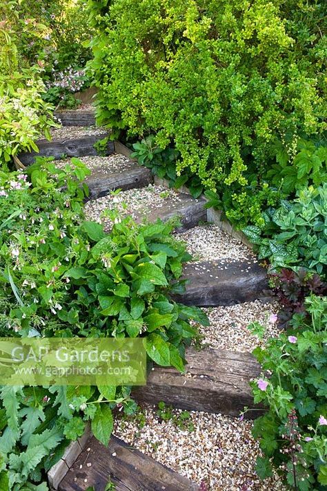 Railway sleeper steps - Trench Hill garden, Gloucestershire Woodland Garden Steps, Railway Sleepers Steps, Cottage Garden Steps, Sloped Yard Steps, Railway Sleeper Steps, Sleeper Steps Garden, Steep Garden Ideas, Diy Steps On A Slope, Garden Hill Ideas