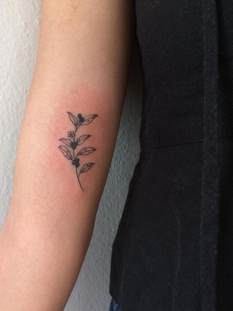 Coffee Flower Tattoo Minimalist, Coffee And Flowers Tattoo, Aesthetic Coffee Tattoo, Coffee Cherry Tattoo, Coffee Plant Tattoo Minimalist, Coffee Leaf Tattoo, Coffee Tree Tattoo, Coffee Branch Tattoo, Coffee Flower Tattoo