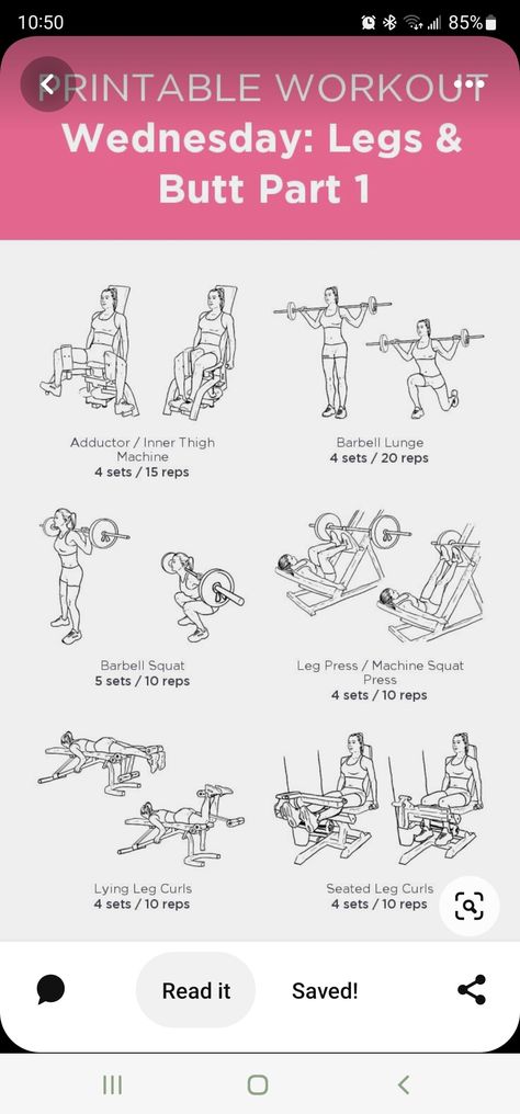 Lying Leg Curls, Seated Leg Curl, Workout Labs, Gym Workout Plan For Women, Leg Press Machine, Sport Logos, Leg Workouts, Leg Day Workouts, Gym Workouts Women