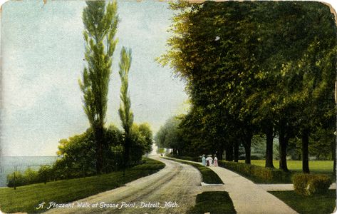 Lake Shore Drive, Grosse Pointe, Michigan Grosse Pointe Michigan, Elm Tree, Grosse Pointe, Lake Shore Drive, Lake Shore, Blue Book, Blue Books, Street Cars, Bus Stop