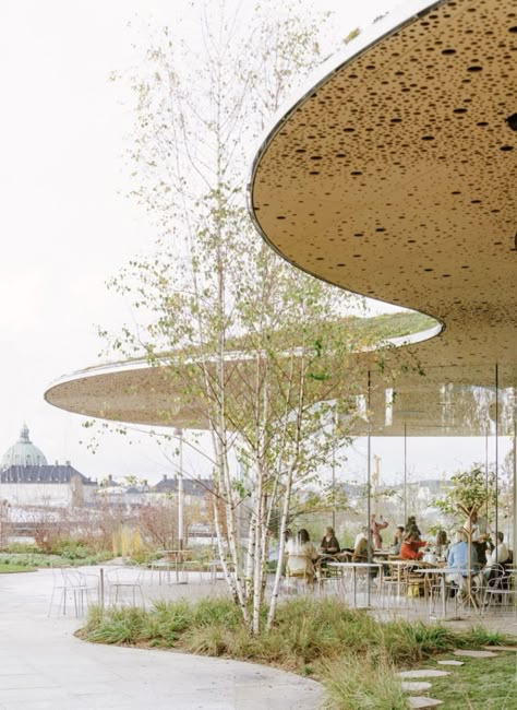 Shading Structure, Thesis Architecture, Green Reference, Facade Concept, Cultural Building, Urban Courtyards, Danish Architecture, Covered Walkway, Water Lily Pond