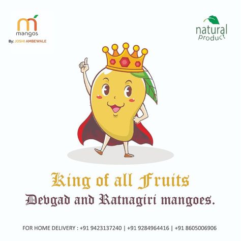 Reason why mango is the "king of all fruits" because it looks good, tastes good,  and has good smell.  #joshiambewale #mango #kingoffruits👑 #mangomango #eat #refreshingmango #mango #pune #ratnagirimango #devgarhmango #mangoisluv #alphonsomango #eatthebest Mango Day Celebration Ideas In School, Mango Day Decoration In School, Mango Day Activity For Kids, Mango Day Celebration In School, Mango Craft, Photo Booth Picture Frames, Yellow Mango, Mango Flower, Ganesh Idol