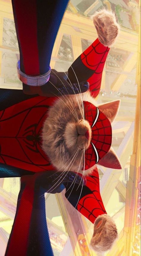 Across The Spider Verse Wallpaper, Spider Verse Wallpaper, Spider Cat, Across The Spider Verse, Spider Verse, Spiderman, Marvel, Lost