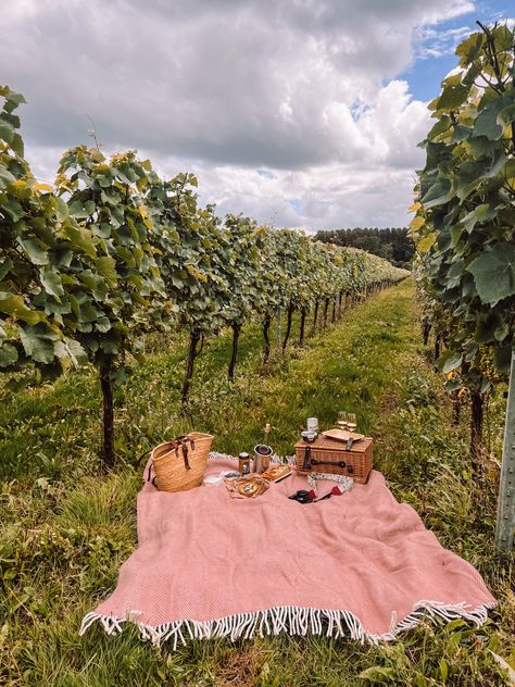 Vineyard Picnic, Grape Picking, Picnic Inspiration, Picnic Date, A Picnic, Party Party, Country Life, Tuscany, Grape Vines