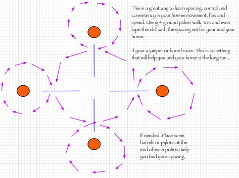 Horseback riding drills with ground poles used at WiiRide. #wiiride #wiiridestables #horses #drills Horse Drills, Barrel Racing Exercises, Barrel Racing Training, Pole Exercises, Horse Riding Arena, Riding Ideas, Riding Exercises, Therapeutic Riding, Horse Training Exercises