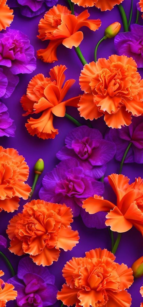 Purple And Orange Wallpaper Iphone, Hawaiian Wallpaper Iphone, Purple Orange Background, Orange And Purple Wallpaper, Purple Orange Aesthetic, Purple And Orange Aesthetic, Wallpaper Iphone Flowers, Hawaiian Wallpaper, 2024 Wallpaper