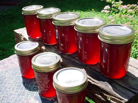 I make several batches of this each summer when the fireweed in Alaska is in bloom. My kids always help pick the blooms and are always eager to eat t Apple Peel Recipe, Fireweed Jelly, Alaskan Food, Apple Jelly, Jelly Recipe, Jam And Jelly, Jelly Recipes, Home Canning, Wild Food