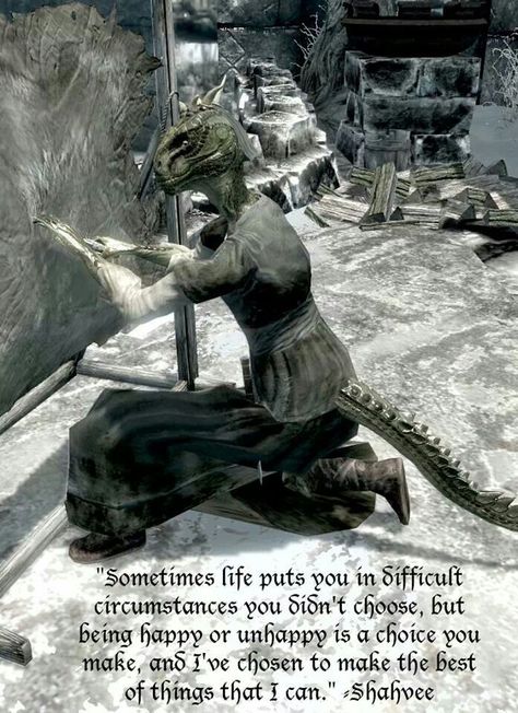 1000+ Skyrim Quotes on Pinterest | Skyrim, Dark brotherhood and ... Skyrim Elves, Skyrim Argonian, Skyrim Quotes, Skyrim Funny, Elder Scrolls Lore, Video Game Quotes, Elder Scrolls Games, Dark Brotherhood, Character Tropes