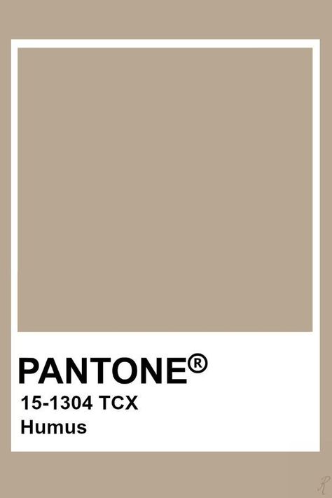 Light Brown Pantone, Brown Pantone, Light Spring, Pink Champagne, Diy Shirt, Pantone Color, Color Inspiration, Light Brown, Champagne