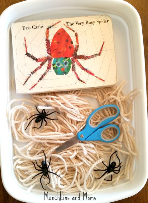 Spiders Sensory Bin, Spider Cognitive Activities, Spider Montessori Activities, Spider Exhibit Dramatic Play, Spider And Bat Crafts Preschool, Reggio Spider Activities, Spider Preschool Activities, Spider Activities For Preschool, Preschool Spiders