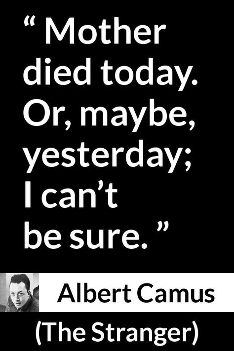 The Stranger Quotes Camus, The Stranger Quotes, Albert Camus The Stranger, The Stranger Book, The Stranger Albert Camus, Commonplace Journal, Stranger Quotes, Albert Camus Quotes, Camus Quotes