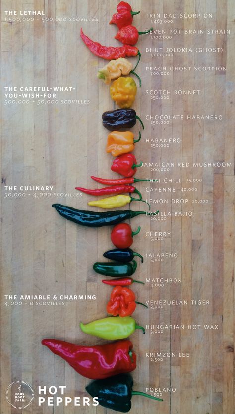 Types Of Peppers, Food Tool, Food Education, Hot Sauce Recipes, Hot Peppers, Food Charts, Food Info, Food Facts, Allergy Free