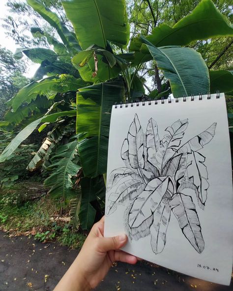 Freehand banana leaves sketch . . . . . . #pensketch #doodleleaves #outdoorsketching #banana Freehand Sketching, Leaves Sketch, Canvas Art Painting Abstract, Banana Leaves, Pen Sketch, July 17, Banana Leaf, Canvas Art Painting, Painted Furniture