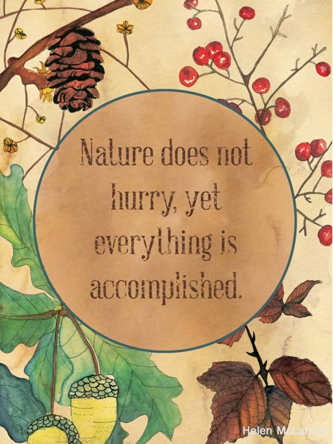 one of my goals in life: do everything with no hurry at all. Nature Does Not Hurry, Citation Nature, Mother Nature Quotes, Collateral Beauty, Garden Quotes, Garden Signs, Nature Quotes, Quotable Quotes, A Quote