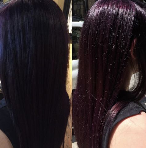 8 Inch Hair Length, Black Magenta Hair, Violet Soft Black Hair, Black Hair Purple Undertone, Blackberry Hair Color Dark, Violet Black Hair Color, Pravana Vivids, Windows To The Soul, Dark Purple Hair