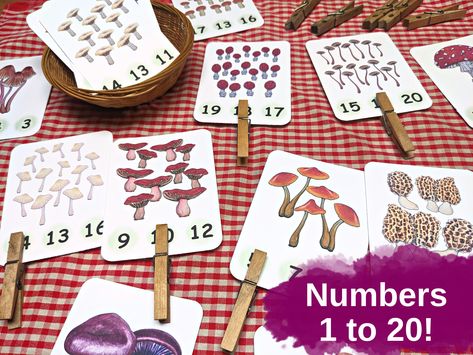 Excited to share the latest addition to my #etsy shop: Mushroom Count and Clip Cards: preschool activity, numbers for toddlers, printable flashcards, counting games, learning binder, nature study https://etsy.me/40aX0CY #mushroomunitstudy #preschoolprintables #montesso Preschool Mushroom Activities, Mushroom Activity, Mushroom Lesson Plan, Mushroom Unit Study, Mushroom Counting Activity, Numbers For Toddlers, Counting Games, Printable Flash Cards, Clip Cards