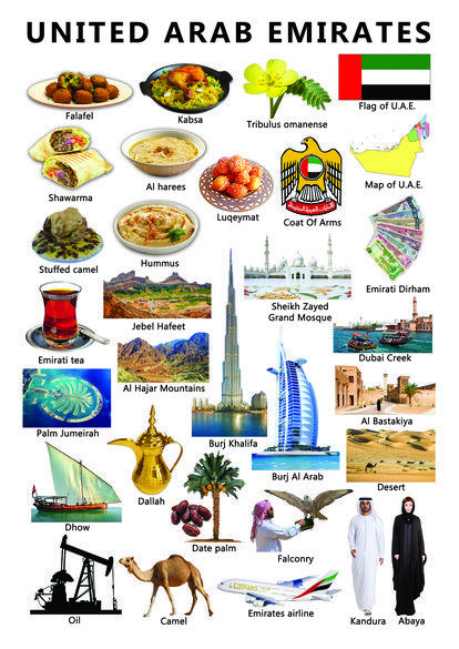 World History Facts, Arab Countries, Geography For Kids, Uae National Day, Country Studies, Country Facts, Travel Infographic, Burj Al Arab, Kids Around The World