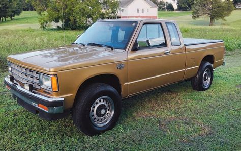 Compact Trucks, Mini Trucks 4x4, 1986 Toyota Pickup 4x4, 1982 Toyota Pickup 4x4, Chevrolet S 10, Small Pickups, 1980 Square Body Chevy, K10 Chevy 4x4 1979, Ford Courier