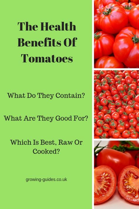 The Health Benefits Of Tomatoes (2) Cherry Tomato Benefits, Tomato Health Benefits, Tomatoes Benefits, Benefits Of Tomatoes, Tomato Benefits, Health Benefits Of Tomatoes, Grapes Benefits, Green Herbs, Female Libido