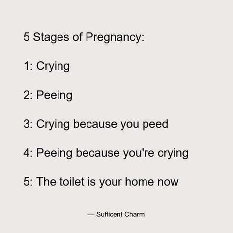 Pregnancy Quotes Funny, Pregnancy Jokes, Pregnancy Memes, Pregnancy Hormones, Pregnancy Quotes, Baby Einstein, Pregnancy Humor, Alicia Keys, Pregnancy Stages