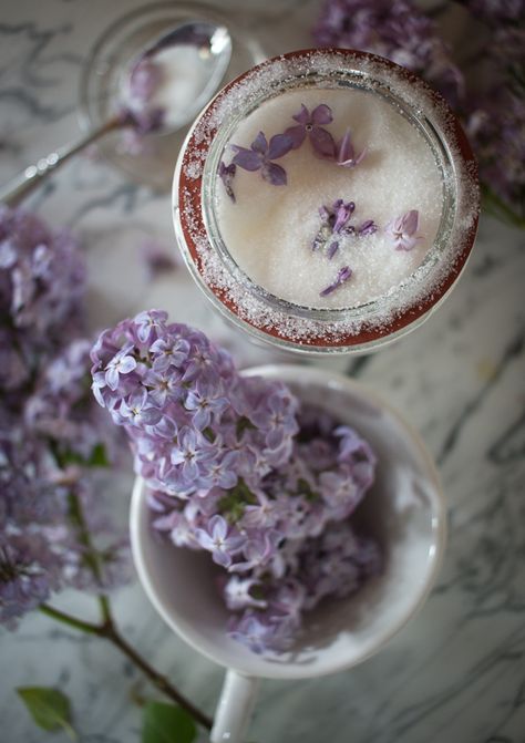 Lilac sugar for baking | Linden & Lavender High School Clothing, Lavender Baking, Lilac Sugar, Old Museum, Baking Therapy, Lilac Scent, School Clothing, Herb Recipes, Journal Daily