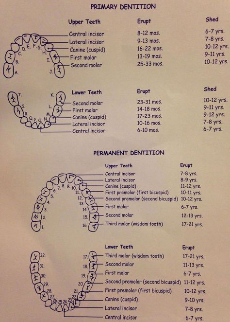 dental assistant hygienist hygiene oralgila #Wellness #Maintaining #Tips #Essential #Bright #Optimal #FitnessTips #SelfCare #Health #for #HealthTips #a #Smile #HealthyLiving #Dental Dental Abbreviations, Dental Assistant Study Guide, Dental Hygiene Graduation, Dental Assistant School, Dental Hygienist School, Dental Assistant Study, Registered Dental Hygienist, Dental Hygiene Student, Dental World