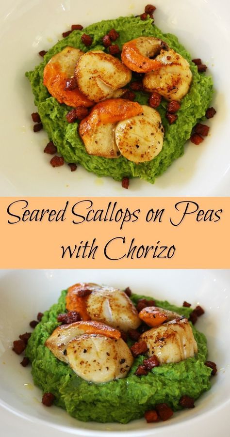 Seared Scallops on Peas with Chorizo. Scallops on a minted pea puree with cubes of Chorizo then garnished with truffle oil. Xmas Starters, Scallops And Chorizo, Xmas Meals, Wedding Meals, Filet Mignon Chorizo, Christmas Starters, Pea Puree, Easy Starters, Chorizo Recipes