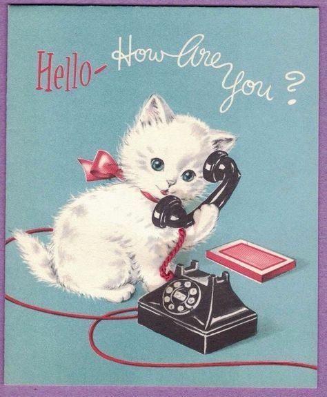 Midcentury Artwork, Kitten With Blue Eyes, Hello How Are You, Kittens Vintage, Postcard Paper, Telephone Line, Vintage Cats, White Kitten, White Kittens