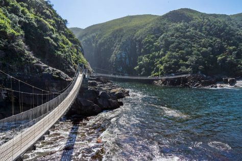 Tsitsikamma National Park Stock Pictures, Royalty-free Photos & Images - Getty Images Tsitsikamma National Park, Taroko National Park, Corcovado National Park, Stradbroke Island, Mangrove Swamp, Daintree Rainforest, Isle Of Arran, North Cascades National Park, Temperate Rainforest