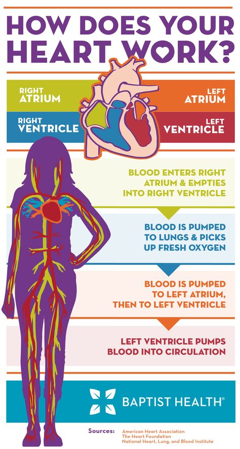 Cath Lab Nursing, Cardiac Cath Lab, Cardiac Cath, Heart Health Awareness, Lung Health, Turmeric Health, Heart And Lungs, Heart Words, Anatomy Physiology