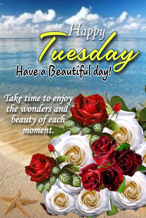 Tuesday Afternoon Quotes, Tuesday Quotes Good Morning, Tuesday Greetings, Tuesday Blessings, New Year Wishes Images, Happy Tuesday Friends, Morning Tuesday, Sweetheart Quotes, Beautiful Good Night Quotes