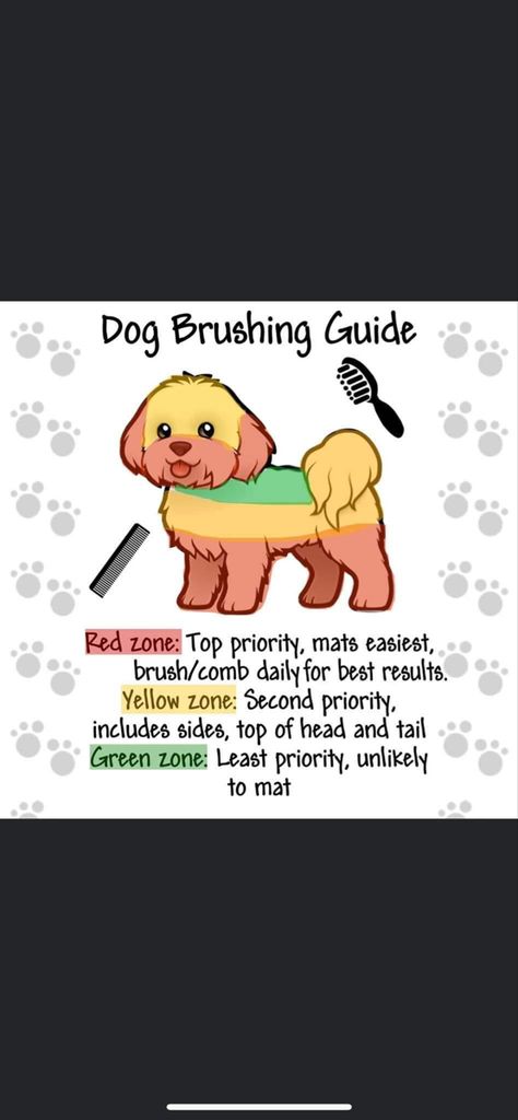 Dog Grooming Chart, Dog Care Tips Pet Grooming, Dog Grooming Ideas Business, Tiny Dog Grooming Salon Ideas, Dog Grooming Advertising Ideas, Dog Grooming Outfits, Dog Salon Ideas Interior Design Pet Grooming, Dog Groomer Tattoo Ideas, Dog Grooming Tattoo Ideas