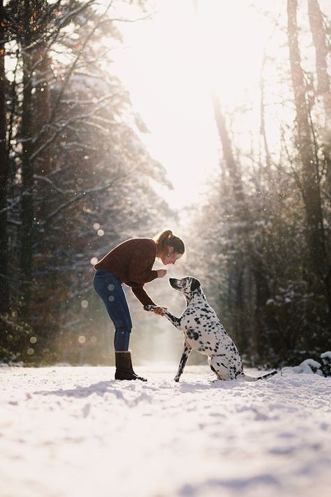 I’ve come up with some tips for pet parents and their pups to stay safe in the snow. Dog Owner Photography, Dog Owner Photoshoot, Pet Photography Poses, Dog Photoshoot Pet Photography, Dog Photography Poses, Animal Photoshoot, Snow Photoshoot, Photos With Dog, Snow Pictures