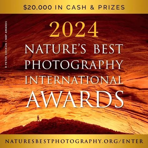 The 2024 Nature�’s Best Photography International Awards is a prestigious event that invites a global audience of nature photographers to showcase their talent. Whether amateur or professional, photographers... Nature Photographers, Photography Competitions, Photography Contests, Nature Photographs, Best Photography, Latest News, Photographer, Photography, Nature