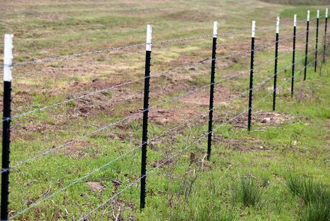 T Post Fence, Fence Types, Agricultural Fencing, Post And Rail Fence, Horse Fencing, Outdoor Buildings, Steel Fence, Rail Fence, Farm Fence