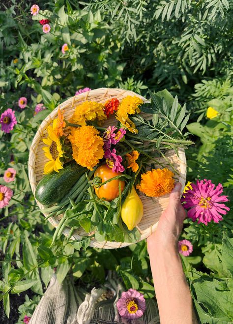 POV UGC holding basket of fresh picked flowers and vegetables in a home garden during summer. Picked Flowers, Vision Board Images, Vision Board Photos, Flower Picks, Garden Flowers, Vegetable Garden, Dream Life, Flower Garden, Home Garden