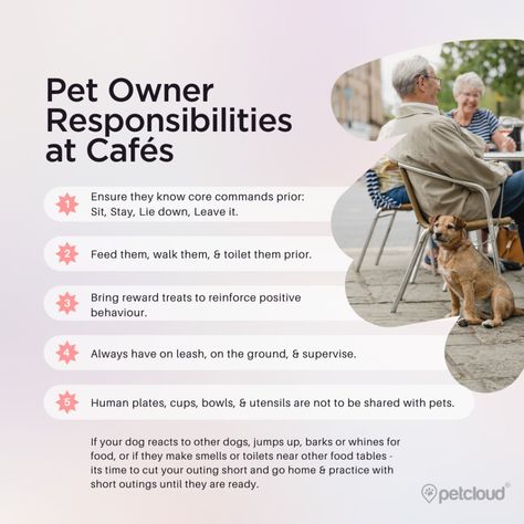 Dog Friendly Café & Pub Etiquette Pet Friendly Cafe, Dog Restaurant, Pet Taxi, Smelly Dog, Pet Boarding, Support Dog, Pet Friendly Hotels, Owning A Cat, Dog Boarding