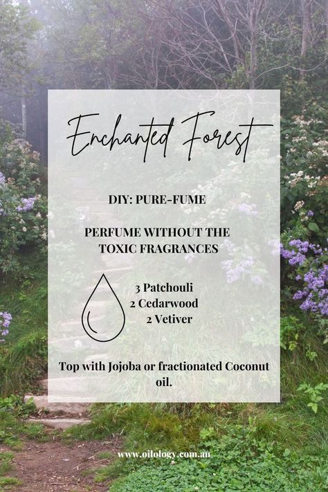 DIY: Natural Perfume With Essential Oils - Enchanted Forest Perfume With Essential Oils, Diy Perfumes, Essential Oil Perfume Blends, Essential Oil Roller Bottle Recipes, Essential Oil Perfumes Recipes, Hidden Forest, Essential Oil Combinations, Vetiver Essential Oil, Perfume Recipes