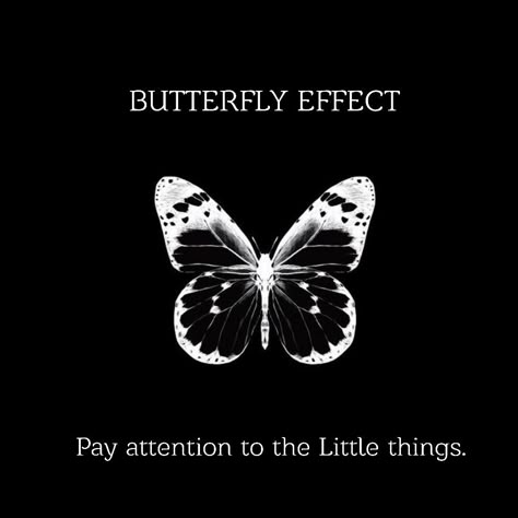 Importance of paying attention to detail. Butterfly Theory, Chaos Theory, A Level, Butterfly Effect, Small Changes, Loki, Attention To Detail, Destiny, Wall