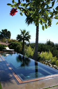 Moderne Pools, Amazing Swimming Pools, Swimming Pool Landscaping, Luxury Swimming Pools, Pool Landscape Design, Diy Swimming Pool, Swimming Pool House, Cool Swimming Pools, Rectangular Pool