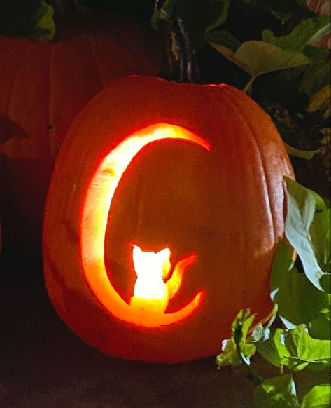 Nature Themed Pumpkin Carving, Moon And Stars Pumpkin Carving, Animal Crossing Pumpkin Carving, Moon Pumpkin Carving, Pumpkin Cat Carving, Pumpkin Carving Ideas Aesthetic, Aesthetic Pumpkin Carving, Pumpkin Carving Aesthetic, Pumpkin Inspo