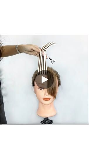 230K views · 19K reactions | Here’s how I did this layered curtain fringe:

1. I cut straight across to establish the length of the sides and to make sure that they are even

2. I cut a guide in the middle to establish how long I want it to be

3. I elevated the hair and connected the middle to the sides using my finger angle

4. Point cut

Because I elevated the hair, it caused the top to travel less and the bottom to travel more. This made the fringe shorter on top and longer towards the bottom, layering it, making it thinner.

Because of my finger angle connecting the lengths that I established, I was able to make the fringe shorter in the middle and longer towards the sides.

Change up the lengths, point cut more, point cut less, or don’t point cut at all. You can even use overdirectio 200k Views, Summer Hair Trends, Point Cut, Curtain Fringe, Hair Techniques, Short Fringe, Travel More, The Fringe, Long I