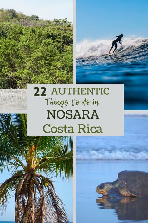 22 Authentic Things to Do in Nosara Costa Rica/ Costa Rica Travel Sea Turtle Hatching Beaches, Cost Rica, Costa Rica With Kids, Nosara Costa Rica, Costa Rica Travel Guide, Trip To Costa Rica, Baby Sea Turtles, Nosara, Visit Costa Rica