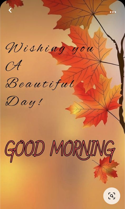 Autumn Good Morning, Good Morning Fall Images, Good Morning Fall, Good Morning Friday Images, Good Morning Snoopy, Friday Images, Happy Day Quotes, Good Morning Greeting Cards, Good Morning Friday