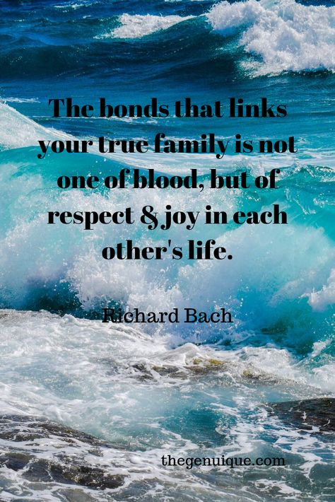 Richard Bach Quotes, Family Quote, Illustration Quotes, Family Quotes, Love Words, Writers, Illustrations, Quotes, Quick Saves