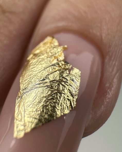 Golden leaf 🔎 -Nude cover 1 -Popits X-tensions De chez @_almascreation_ #nails #nailartist #nailsreparation #square #squarenails #macro #nailextension #golden #nude #popitsnails #nailaddict #onglesalbi #onglegel May Nails, Golden Leaves, Nail Extensions, Square Nails, Nail Artist, Nails