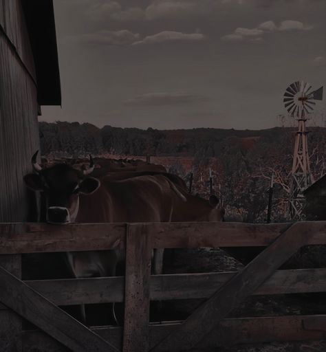 Aes. #western #wildwest #aesthetic #cowboy Wildwest Aesthetic, Western Grunge Aesthetic, Aesthetic Cowboy, Western Grunge, Cowboy Aesthetic, Inheritance Games, Urban Cowboy, Western Lifestyle, Wind Of Change