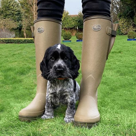 Wellies Outfit, Le Chameau Wellies, Le Chameau Boots, Boots Outfits, Ootd Style, Jewelry Outfit, Style Outfits, Boots Outfit, Country Life