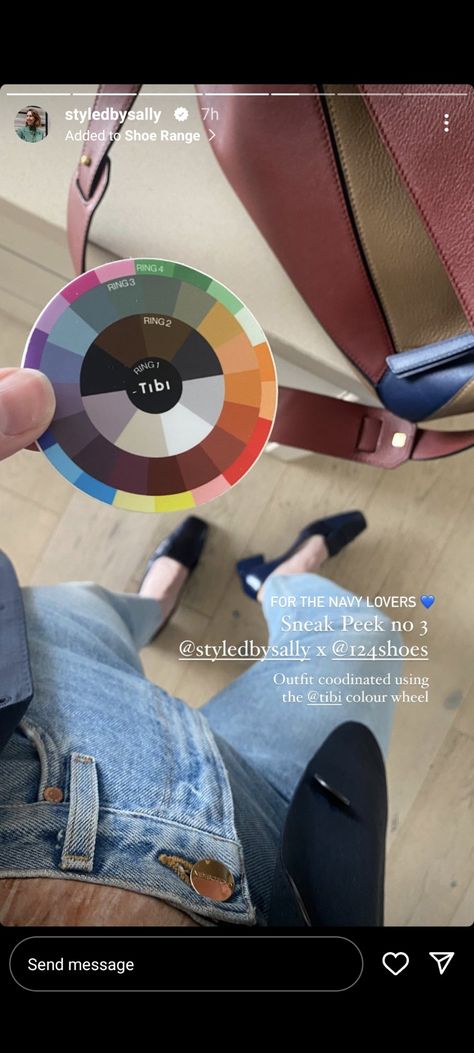 Tibi Colour Wheel, Tibi Color Wheel, Colour Wheel, Summer Color Palette, Colour Combos, Summer Color, September 2024, Color Wheel, Color Combo